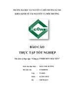 Tổ chức công tác kế toán bán hàng và xác định kết quả bán hàng ở công ty TNHH một thành viên hải yến 