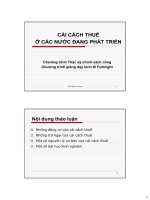 Bài giảng cải cách thuế ở các nước đang phát triển   vũ thành tự anh