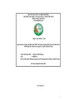 Quy hoạch sử dụng  đất đến năm 2020  kế hoạch sử dụng đất 5 năm kỳ đầu (2011 2015) thị trấn vĩnh trụ  huyện lý nhân  tỉnh hà nam 