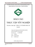 báo cáo thực tập tốt nghiệp tại CÔNG TY cổ PHẦN NHÀ AN TOÀN 