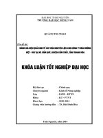 Đánh giá hiệu quả kinh tế cây mía nguyên liệu cho công ty mía đường việt   đài tại xã cẩm quý, huyện cẩm thủy, tỉnh thanh hóa 