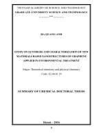 STUDY ON SYNTHESIS AND CHARACTERIZATION OF NEW MATERIALS BASED NANOSTRUCTURES OF GRAPHENE APPLIED IN ENVIRONMENTAL TREATMENT
