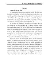 Ảnh hưởng của đô thị hóa đến phát triển kinh tế xã hội phường trần phú, thành phố hà giang, tỉnh hà giang 