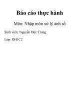 Báo cáo thực hành môn nhập môn xử lý ảnh số 