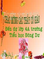 Địa lý lớp 4  đồng bằng bắc bộ 
