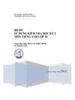Bộ đề sử dụng  kiểm tra học kỳ 2 lmôn tiếng anh ớp 10 