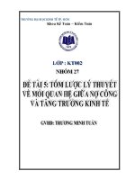 Tiểu luận  tóm lược lý thuyết về mối quan hệ giữa nợ công và tăng trưởng kinh tế