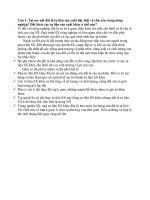 quy hoạch sử dụng đất đai 