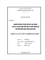 Nghiên cứu một số đặc tính của các chủng bacillus subtilis trong điều kiện in vitro nhằm tạo chế phẩm ứng dụng trong chăn nuôi 
