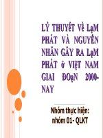 Thuyết trình lý thuyết về lạm phát và nguyên nhân gây ra lạm phát ở việt nam giai đoạn 2000 đến nay 