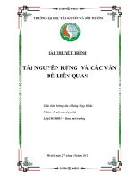 Tiểu luận tài NGUYÊN RỪNG  và các vấn đề LIÊN QUAN 
