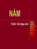 Bài giảng nấm   TS BS  trần ngọc ánh