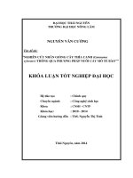 Nghiên cứu nhân giống cây thìa canh thông qua phương pháp nuôi cấy mô tế bào 