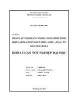 Phân lập vi khuẩn có khả năng sinh tổng hợp gamma polyglutamic acid từ đồ uống boz 