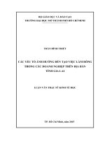 các yếu tố ảnh hưởng đến tạo việc làm ròng trong các doanh nghiệp trên địa bàn tỉnh gia lai 