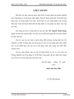 Nghiên cứu khả năng ứng dụng của bùn đỏ tây nguyên làm chất hấp phụ xử lý nước thải 