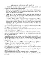 ĐỀ CƯƠNG  THÔNG TIN môi TRƯỜNG 