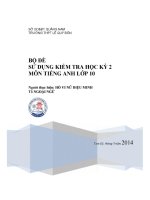 Bộ đề sử dụng kiểm tra học kỳ 2 môn tiếng anh lớp 10 