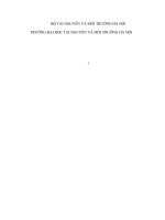 Tiểu luận QUẢN lý CHẤT THẢI rắn ở VIỆT NAM 