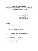 báo cáo chất thải rắn TỔNG QUAN CHẤT THẢI rắn SINH HOẠT tại đô THỊ ở VIỆT NAM