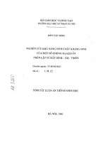 Quan hệ giữa vương quốc cổ champa với các nước trong khu vực