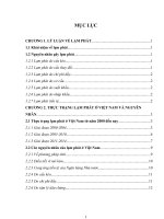 Tiểu luận thực trạng lạm phát ở việt nam và nguyên nhân