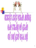 Địa lý 4  bài 24 vùng bắc trung bộ 