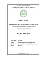 Isolation and detection of bacteria in soil, ash and sediment with the contamination of paraquat and glyphosate 