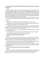 Câu hỏi hiến pháp 2 phần 2