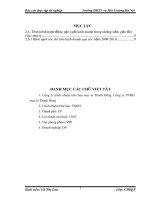 TỔ CHỨC HOẠT ĐỘNG của KÊNH PHÂN PHỐI của CÔNG TY TNHH mực IN THÀNH ĐỒNG 