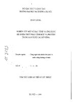 Nghiên cứu một số đặc tính và ứng dụng hệ enzim thủy phân tinh bột và protein trong sản xuất các đồ uống 