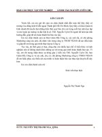 Phân tích thực trạng hoạt động marketing của công ty TNHH VIDAN