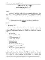 Tiểu luận môn học mô hình chất lượng nước tính toán và lập biểu đồ sự lan truyền BOD trong kênh thẳng 