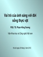 Vai trò của ánh sáng với đời sống thực vật