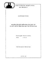 Nghiên cứu đặc điểm hình ảnh siêu âm và cắt lớp vi tính của ung thư tế bào gan 