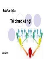 Xã Hội Học  Tổ chức xã hội