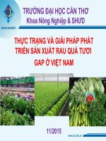 Bài thuyết trình thực trạng và giải pháp phát triển sản xuất rau quả tươi GAP ở việt nam