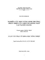 Nghiên cứu khả năng sinh trưởng, phát triển của một số giống ngô lai tại hà giang 