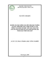 Tình hình bệnh tiêu chảy ở lợn con theo mẹ tại tỉnh vĩnh phúc, xác định yếu tố gây bệnh của vi khuẩn e coli và biện pháp phòng trị 