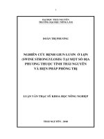 Nghiên cứu bệnh giun lươn ở lợn (swine strongyloidosis) tại một số địa phương thuộc tỉnh thái nguyên và biện pháp phòng trị 