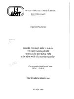 Nghiên cứu đặc điểm vi khuẩn và chức năng hô hấp trong các đợt bùng phát của bệnh phổi tắc nghẽn mãn tính 