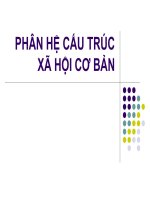 PHÂN hệ cấu TRÚC xã hội cơ bản