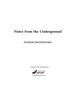 top truyện tiếng anh nên đọc Notes from the underground