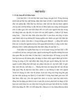 KHÓA LUẬN các ĐỊNH lý cơ bản của hàm KHẢ VI