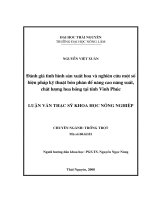 Đánh giá tình hình sản xuấthoa và nghiên cứu một số biện pháp kỹ thuật bón phân để nâng cao năng suất, chất lượng hoa hồng tại tỉnh vĩnh phúc 
