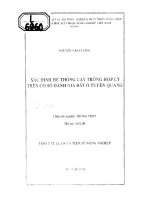 Xác định hệ thống cây trồng hợp lý trên cơ sở đánh giá đất ở tuyên quang 