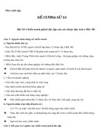 Đề cương môn lịch sử lớp 10 HK2