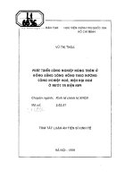 Phát triển công nghiệp nông thôn ở đồng bằng sông cửu long theo hướng công nghiệp hóa, hiện đại hóa ở nước ta hiện nay 