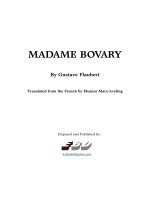 top truyện tiếng anh nên đọc Madame bovary