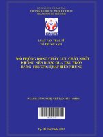 Mô phỏng dòng chảy lưu chất nhớt không nén được qua trụ tròn bằng phương pháp biên nhúng